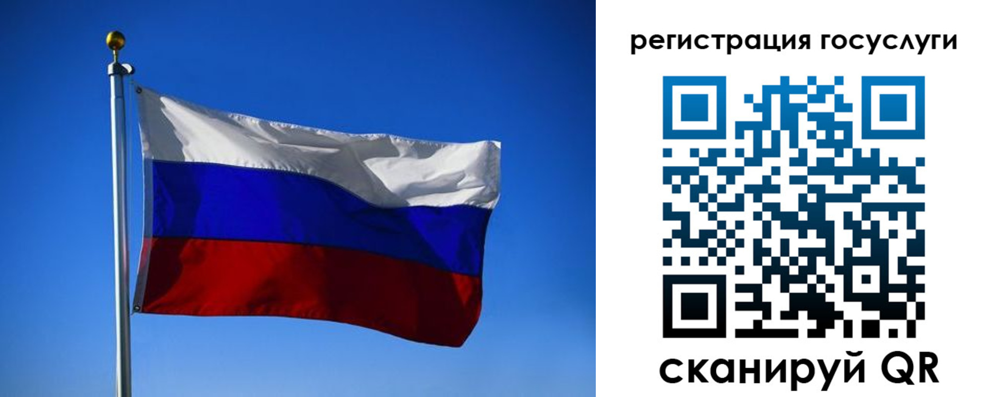 найти адрес прописки в Камышине